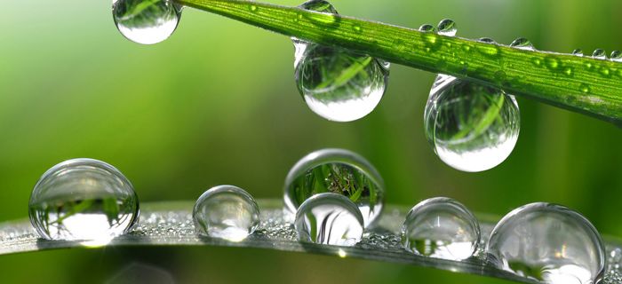 Études Environnementales